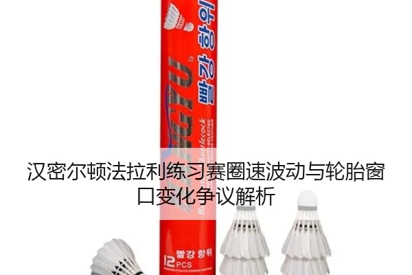 汉密尔顿法拉利练习赛圈速波动与轮胎窗口变化争议解析