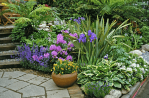 5 plantas que reavivarán tu jardín